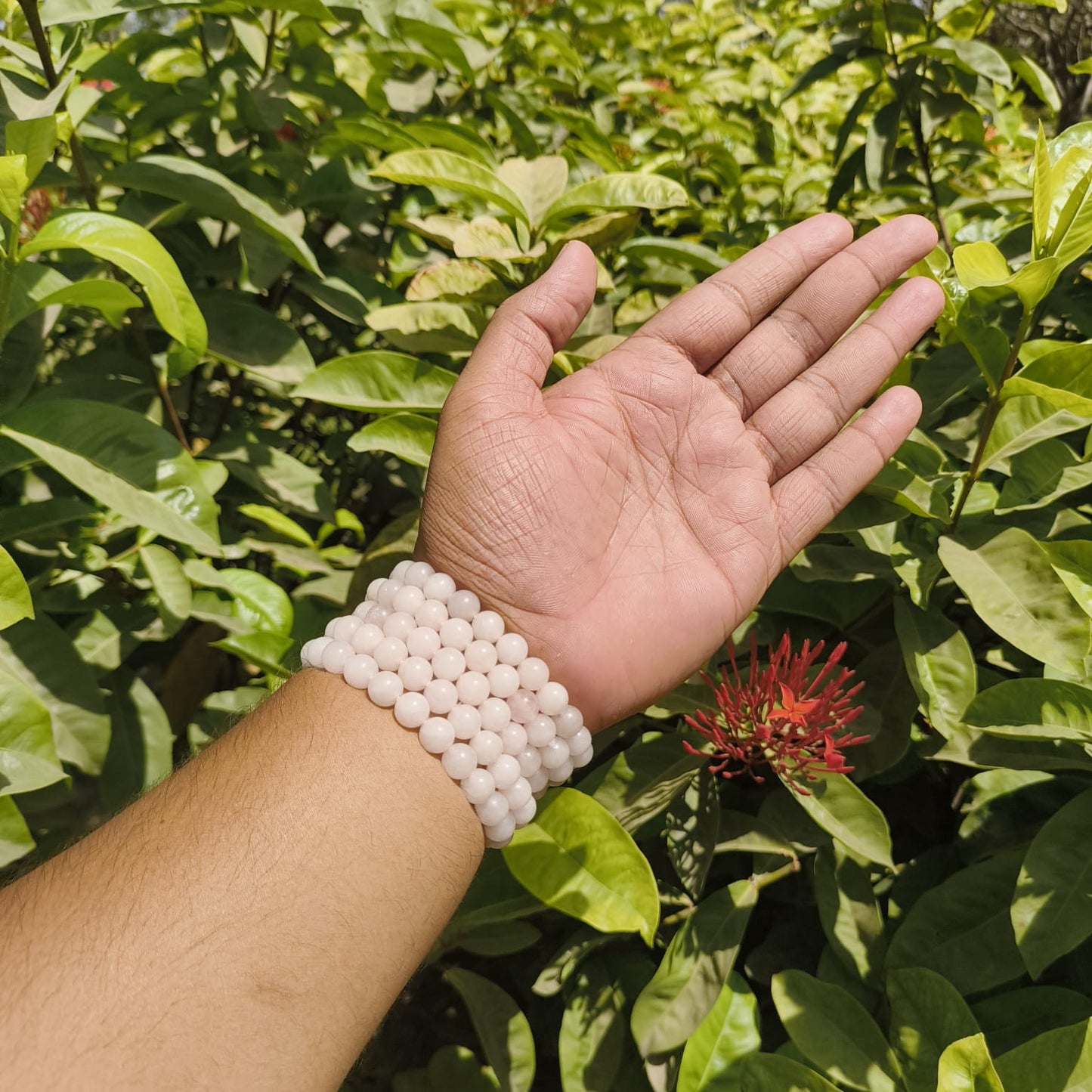 Rose Quartz Bead Bracelet – Love, Harmony & Emotional Healing